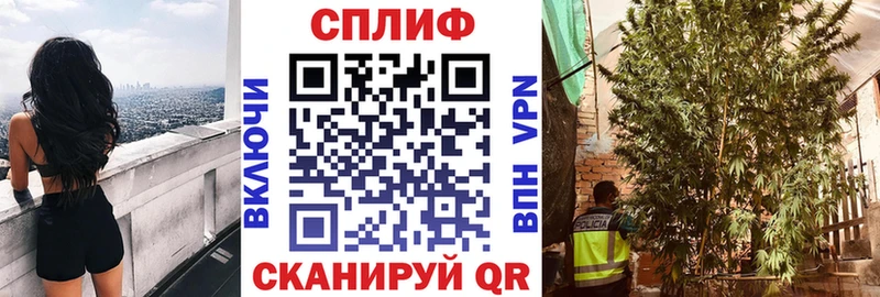 Шишки марихуана AK-47  Арск 