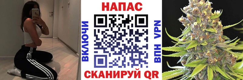 Шишки марихуана MAZAR Арск
